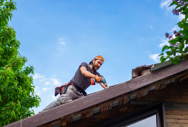 Best Roof Maintenance and Cleaning  in Rlborough, MA